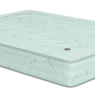 POLIGON GREEN PLANET - Imagen 1