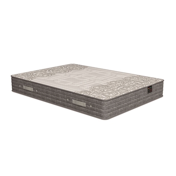 POLIGÓN MODELO MILLENIUM - Imagen 1